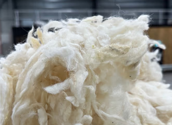 Close-up of raw wool fibres showing natural texture and loft prior to processing for insulation and packaging.